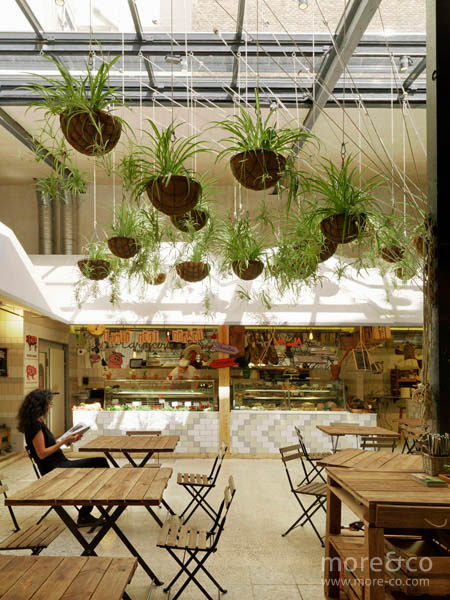 el-huerto-de-lucas-proyecto-moreco-paula-rosales-03