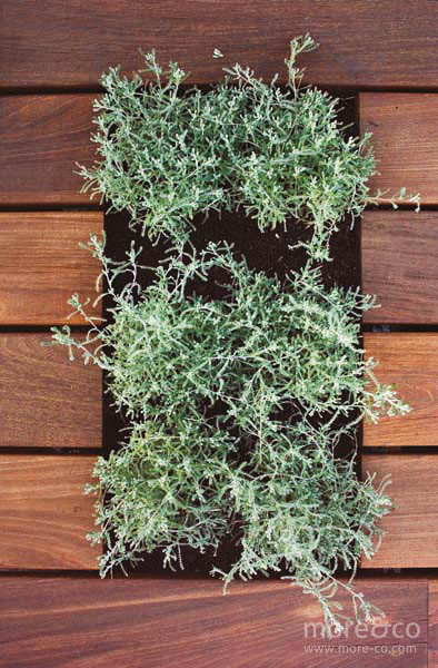 terraza-centro-moreco-paula-rosales-06-