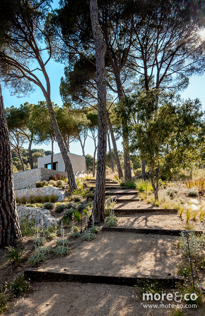 Casa Lago - Paula Rosales arquitecto - Proyecto residencial